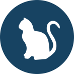 MetaCat - AI-Powered Robotic Pet Cat with Lifelike Movements - Image 6