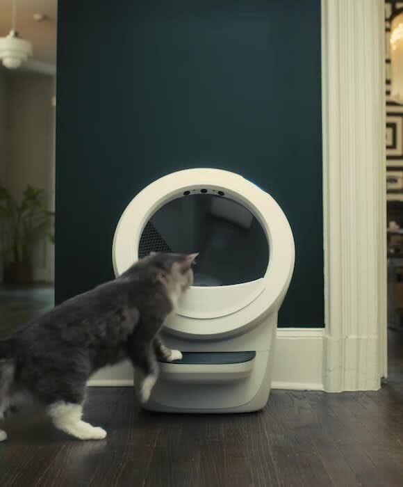 Litter-Robot 4 - Automatic Self-Cleaning Litter Box with App Control - Image 2
